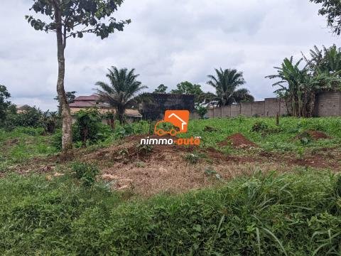 TERRAIN A VENDRE A NKOABANG