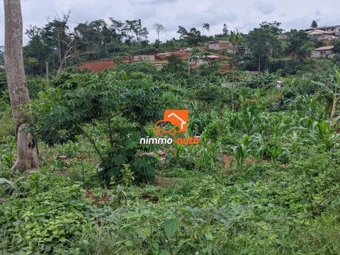 TERRAIN A VENDRE A NKOABANG