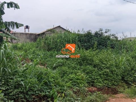 TERRAIN A VENDRE A NKOABANG
