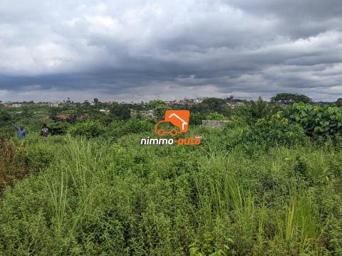 Terrain à vendre a Nkozoa plus précisément a entré lycée  1000 M2