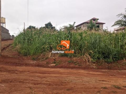 Terrain a vendre a meyo  500 M2