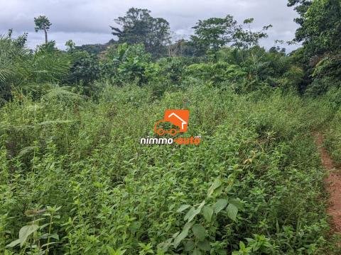 Terrain a vendre a Afanayo 2000 M2