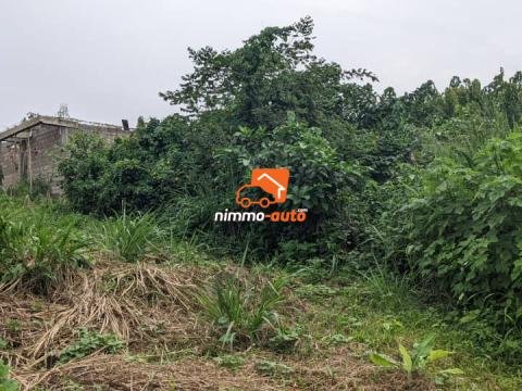 Terrain a Vendre a Toutouli