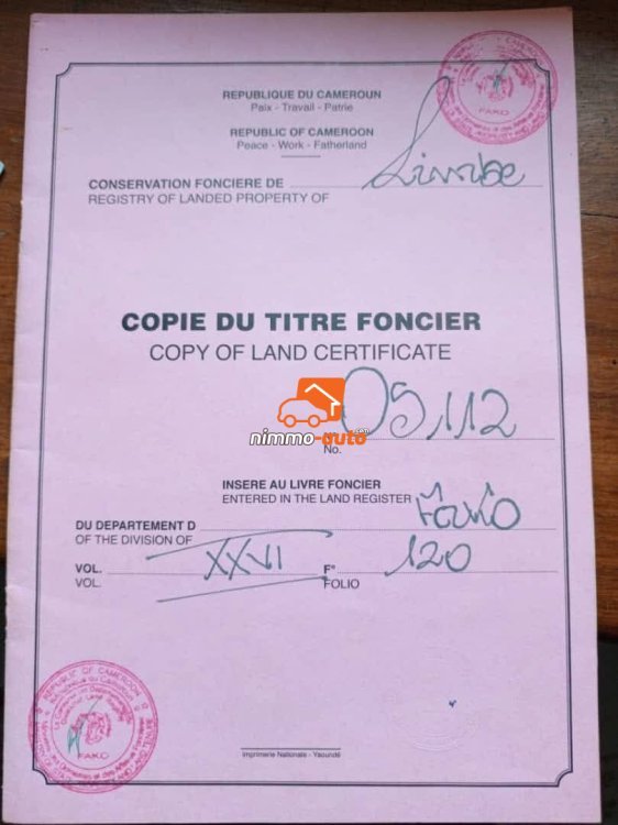 Mini cité ( fely city)