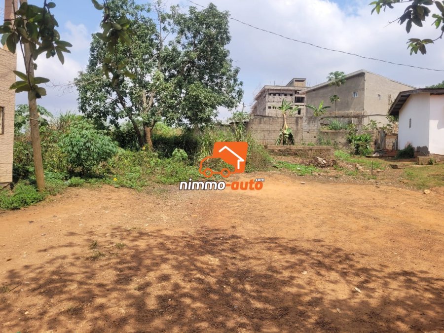 Magnifique Opportunité d'un Terrain Titré de 500m² à vendre à Odza