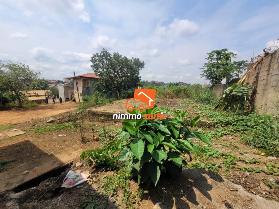Magnifique Opportunité d'un Terrain Titré de 500m² à vendre à Odza