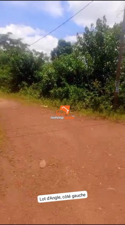 Terrain Titré bien placé de 500m² à vendre à Messassi