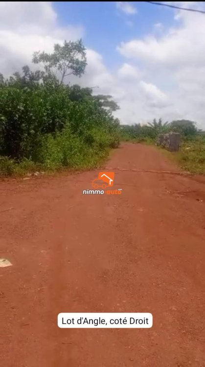 Terrain Titré bien placé de 500m² à vendre à Messassi