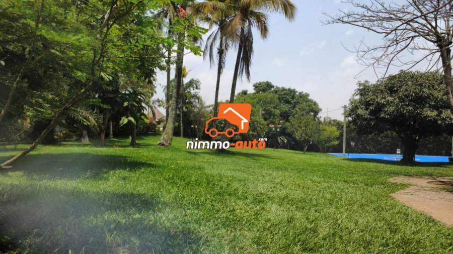 TRES GRAND ESPACE VERT A LOUER AU VILLAGE NOAH