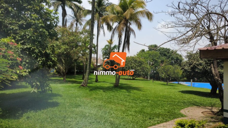 TRES GRAND ESPACE VERT A LOUER AU VILLAGE NOAH