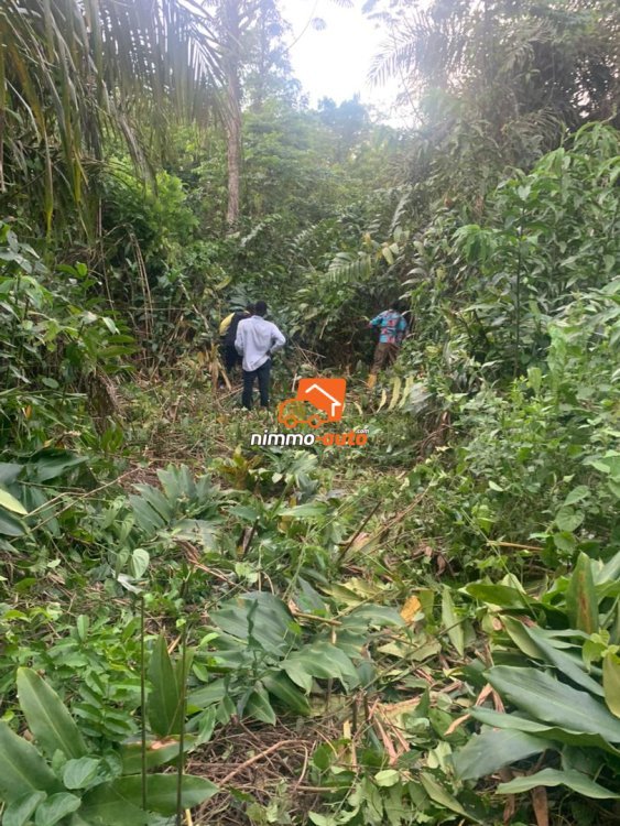 Immense Terrain Titré de 20Hectares à vendre à Nsimalen