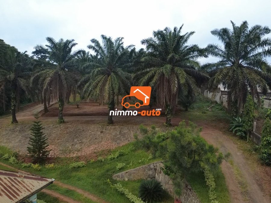TERRAIN A VENDRE A ODZA PETIT MARCHE