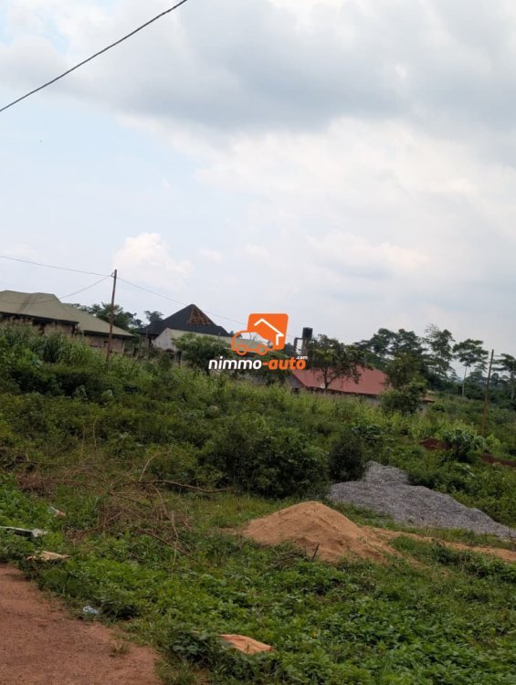 Plusieurs lots titrés bien situé à vendre a Nkozoa ,route bitumée non loin du lycée
