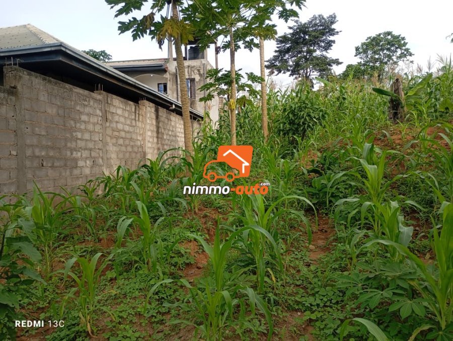 Terrain titré 1000m2 Afanoya, Yaoundé 3 passant par cimencam, lieudit Eyango