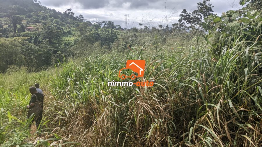 Terrain à vendre a Nkolondom plus précisément derrière le lycée