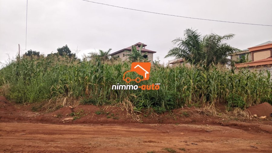 Terrain a vendre a meyo  500 M2
