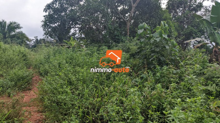 Terrain a vendre a Afanayo 2000 M2