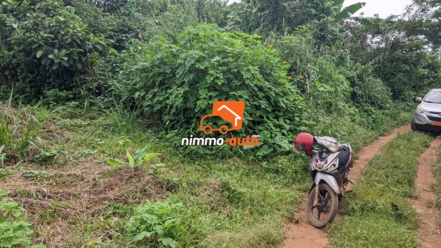 Terrain a Vendre a Toutouli