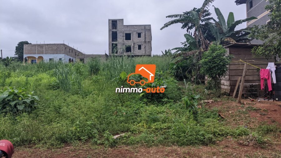 Terrain a vendre a Meyo avec 01 seul signataire  4000m2
