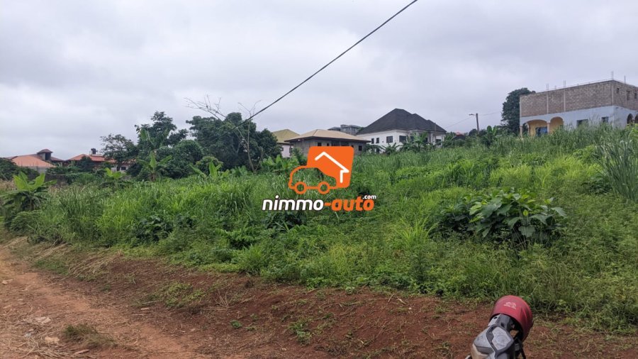 Terrain a vendre a Meyo avec 01 seul signataire  4000m2