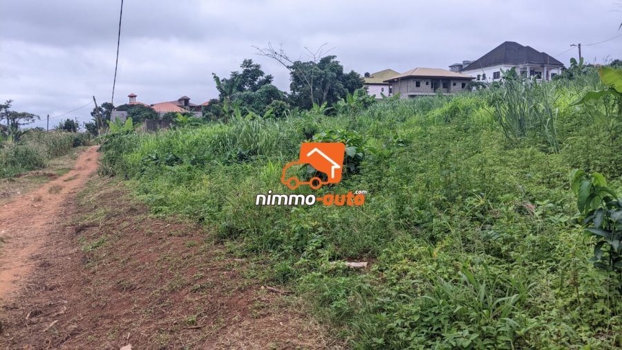 Terrain a vendre a Meyo avec 01 seul signataire  4000m2