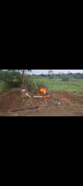 Terrain à Vendre Bonamoussadi Santa Barbara 503m2