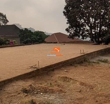 duplex en construction à vendre