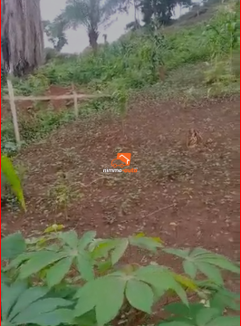 TERRAIN A VENDRE A NKOZOA