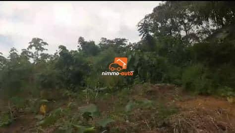 terrain à vendre à lendi