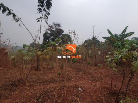 Terrain à vendre NSIMEYONG