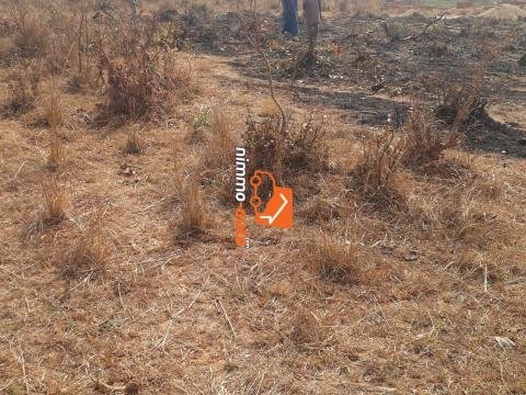 Lotissement à BEKA Ngaoundere