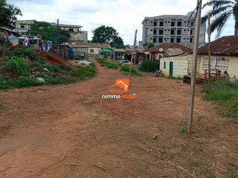 terrain a vendre titré à mvog mbi