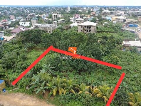 terrain à vendre à lendi en face entree college god win