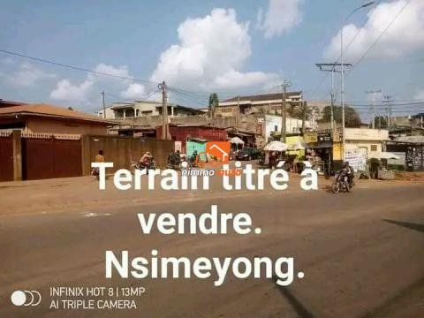 Terrain à vendre nsimeyong terre rouge
