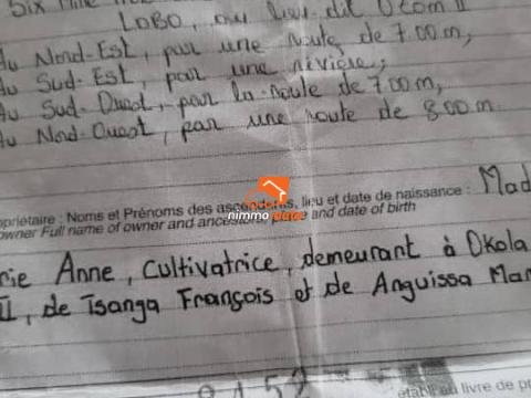 Terrain a vendre a nkolbisson