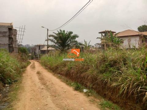 Terrain titré à vendre à Odza fecafoot