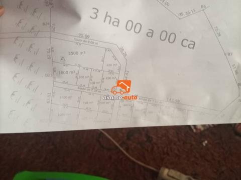 Terrain à vendre à Lobo