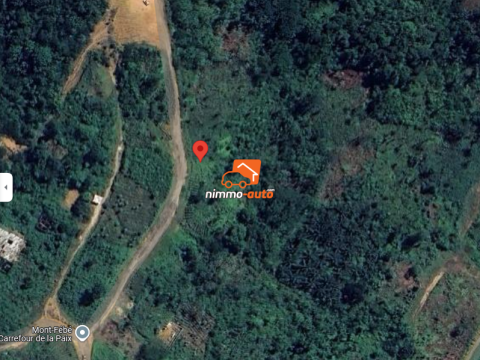 belle opportunite de terrain a vendre lendi douala