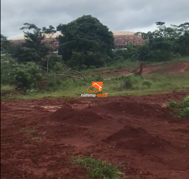 Terrain à vendre à Olembe près de l'échangeur