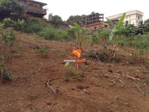 TERRAIN À VENDRE À YAOUNDÉ – 1083 m² | Emplacement de choix près de l’Hôpital Général