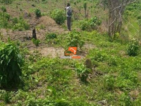 Terrain à vendre à PK 18