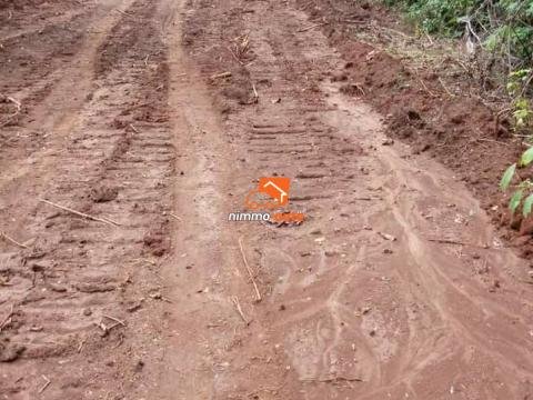 Terrain à vendre à Nkolbisson