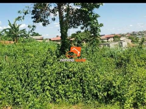 Terrain à vendre à Nkozoa