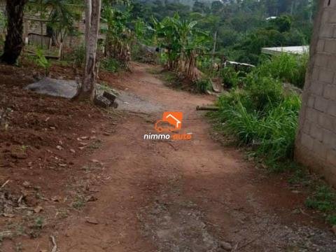 Terrain à vendre à Nkolbisson