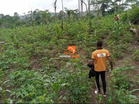 Terrain à vendre à Mfou titré et loti