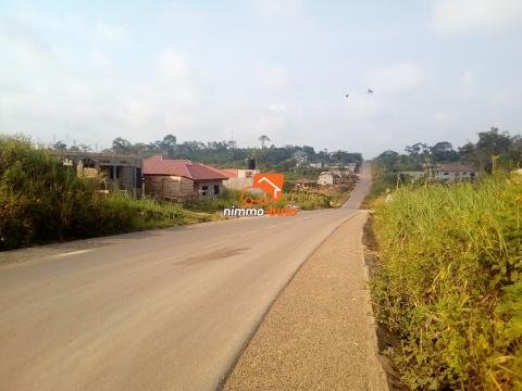 Terrain titré moins cher à vendre à Nkolnda