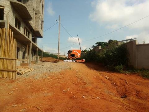 Terrain à vendre à Olembe brasseries