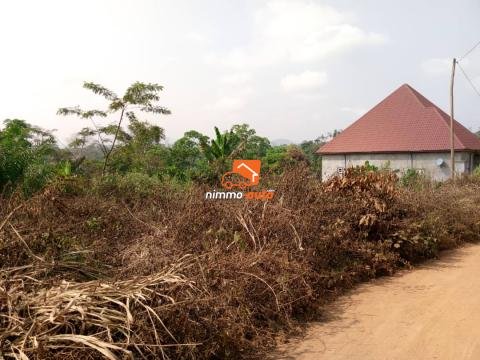 Terrain titré et bien placé à vendre à Nyom