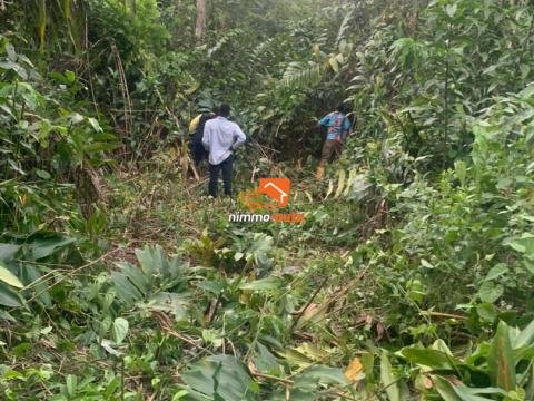 Immense Terrain Titré de 20Hectares à vendre à Nsimalen