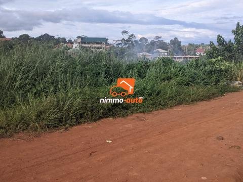 Terrain Titré à vendre a Yaoundé - Nyom passant par le dispensaire Messassi